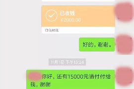 西藏遇到恶意拖欠？专业追讨公司帮您解决烦恼